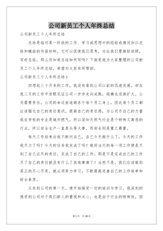 公司新员工个人年终参考总结