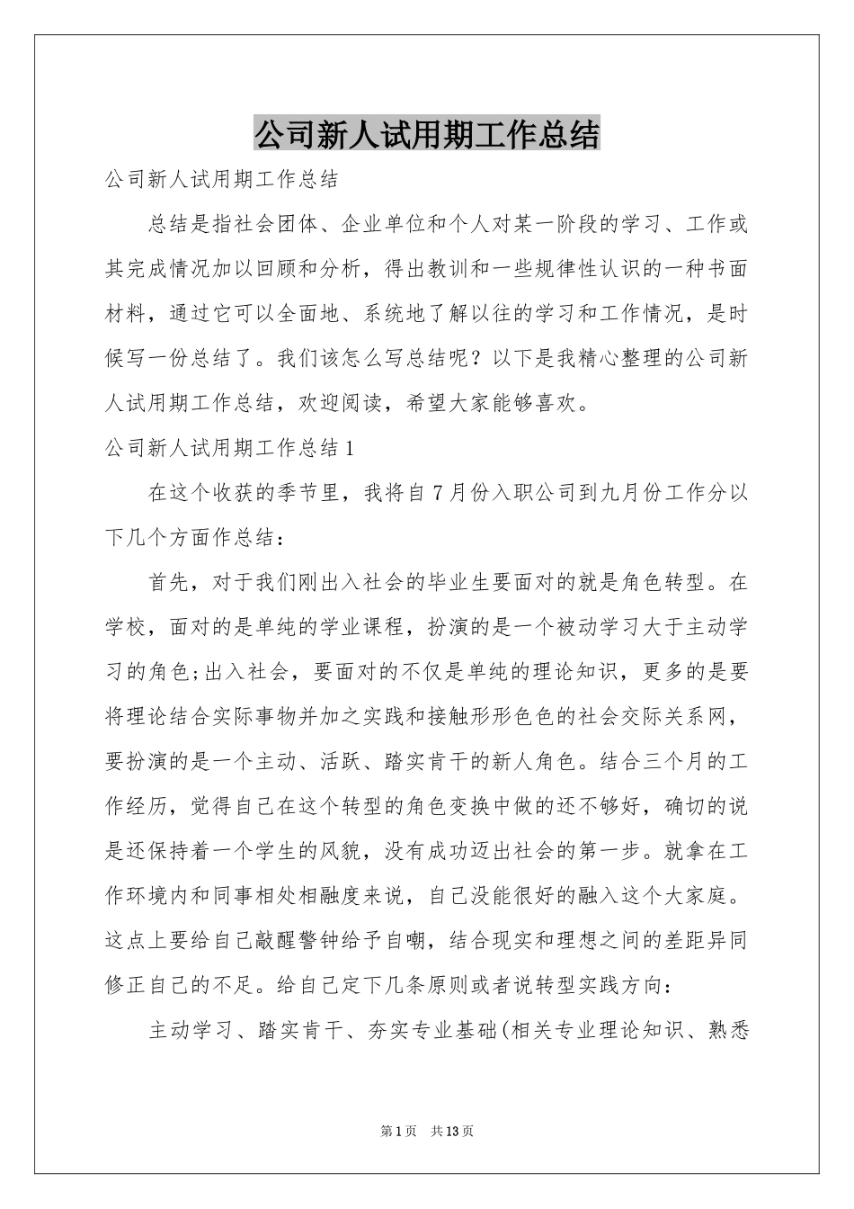 公司新人试用期工作参考总结_第1页