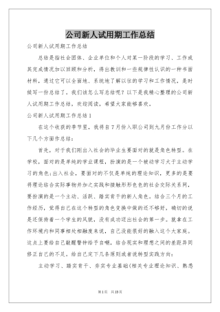 公司新人试用期工作参考总结