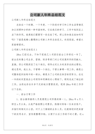 公司新人年终参考总结范本