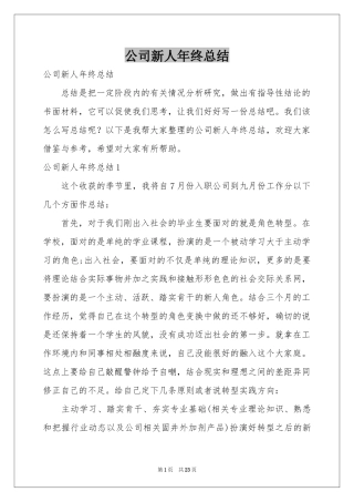 公司新人年终参考总结