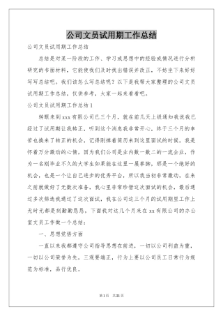 公司文员试用期工作参考总结