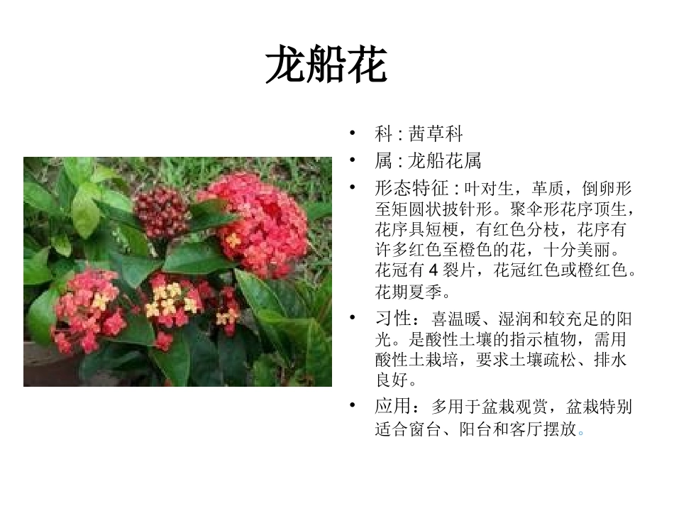 宾王小学生物图鉴_第2页