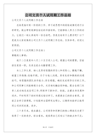 公司文员个人试用期工作参考总结