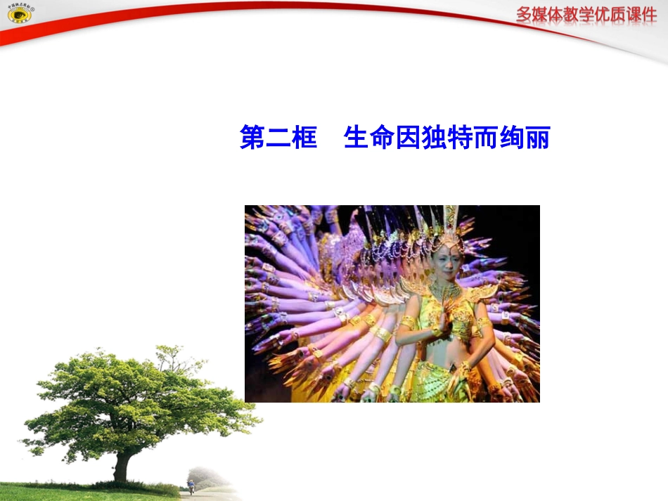 第二框生命因独特而绚丽_第2页