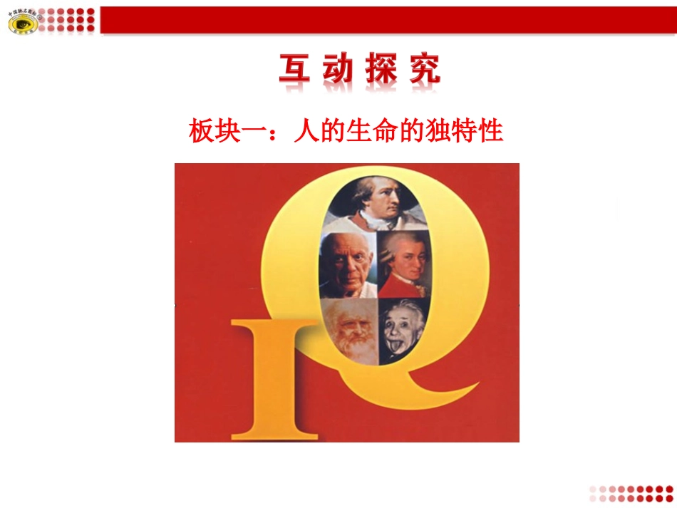 第二框生命因独特而绚丽_第3页