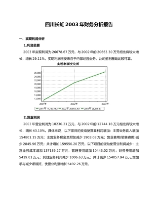 四川长虹某年财务分析报告