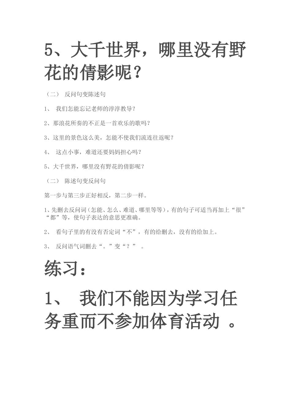小学语文句型转换练习题集锦 (2)_第2页