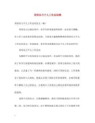 顶岗实习个人工作总结精
