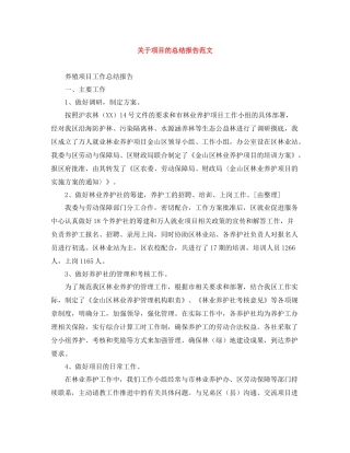 关于项目的总结报告范文