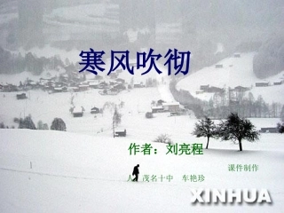 寒风吹彻课件