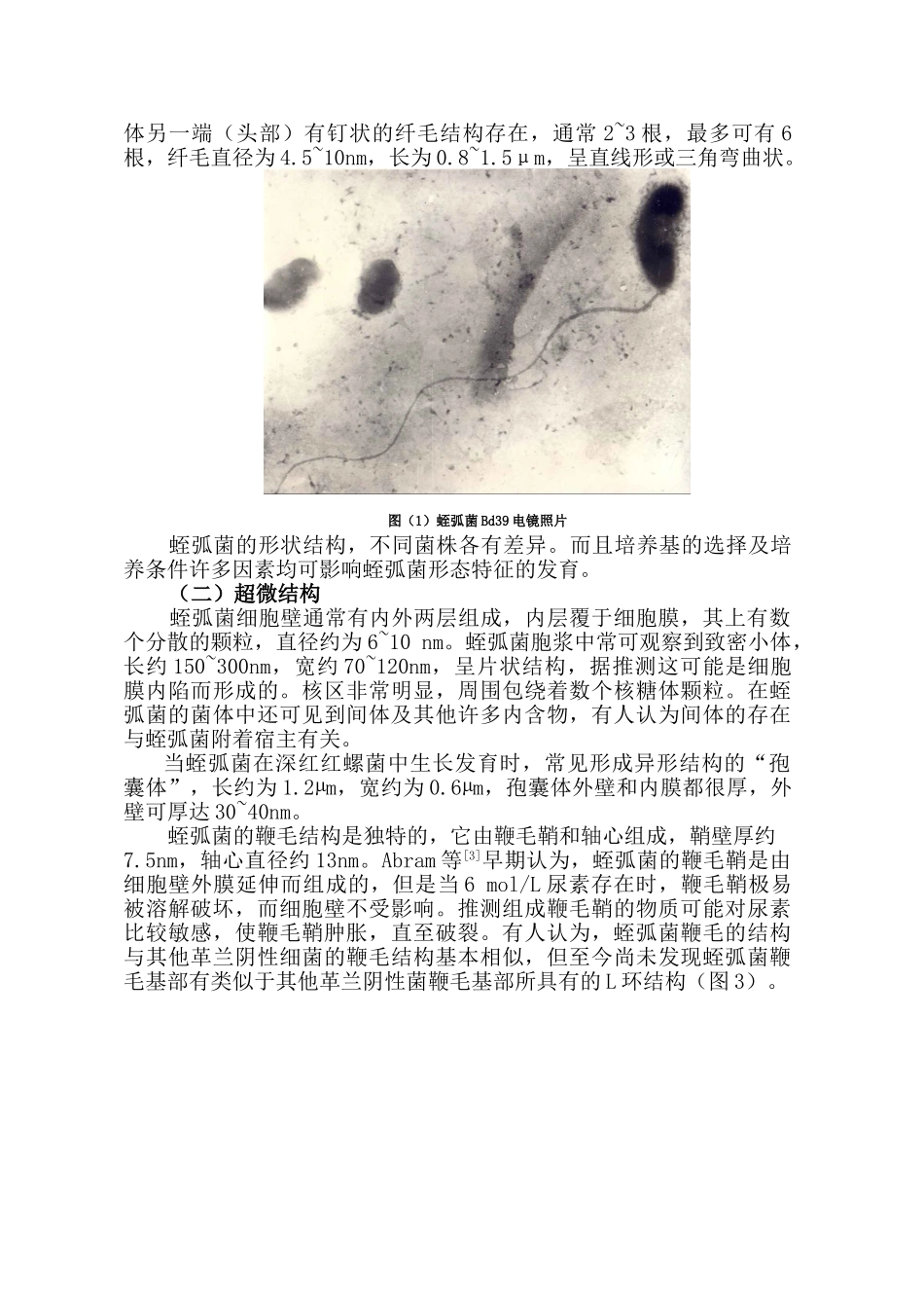 噬菌蛭弧菌分子生物学特性的研究_第2页