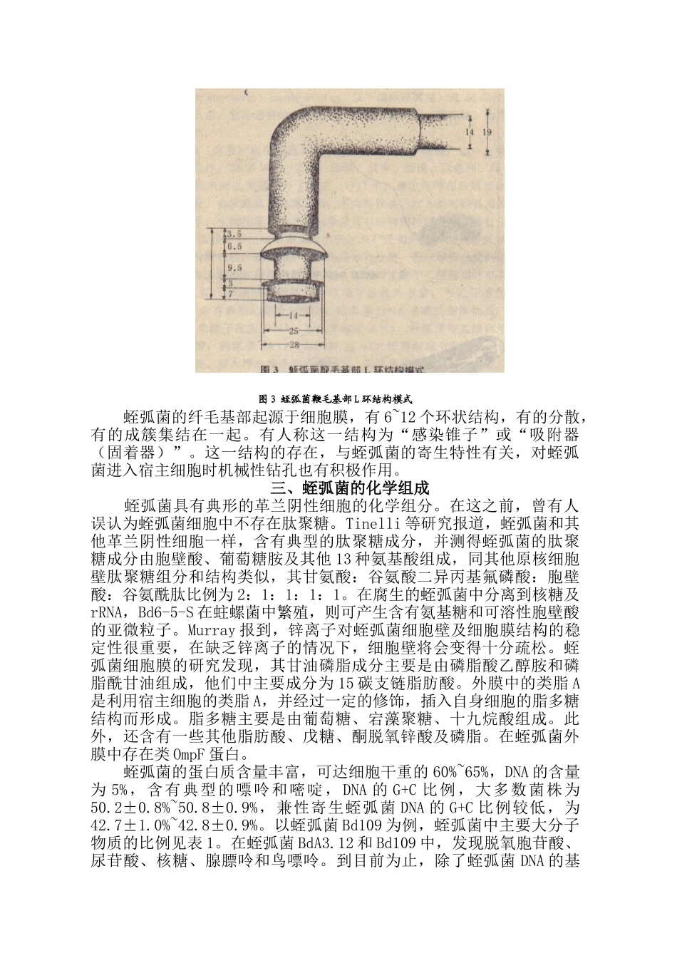 噬菌蛭弧菌分子生物学特性的研究_第3页