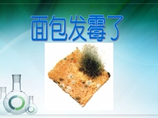 面包发霉了 (2)