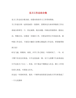 见习工作总结合集