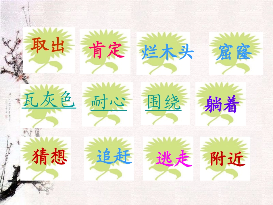 《山雀》课件_第3页