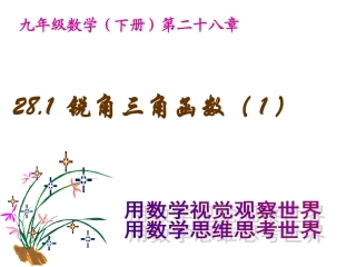 锐角三角函数