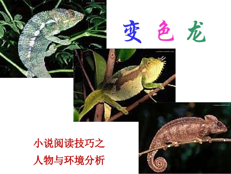 《变色龙》课件(15页)_第1页