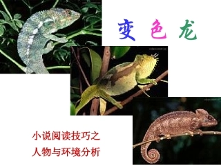 《变色龙》课件(15页)