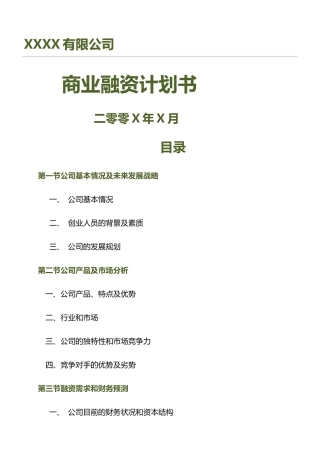 商业融资计划方案(31页)