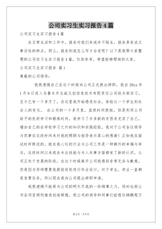 公司实习生实习报告4篇