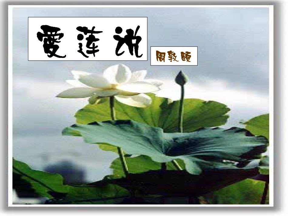 爱莲说4课件_第1页