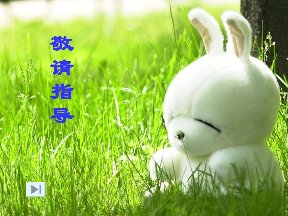 利用化学方程式的计算200811钱_第1页