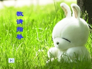 利用化学方程式的计算200811钱