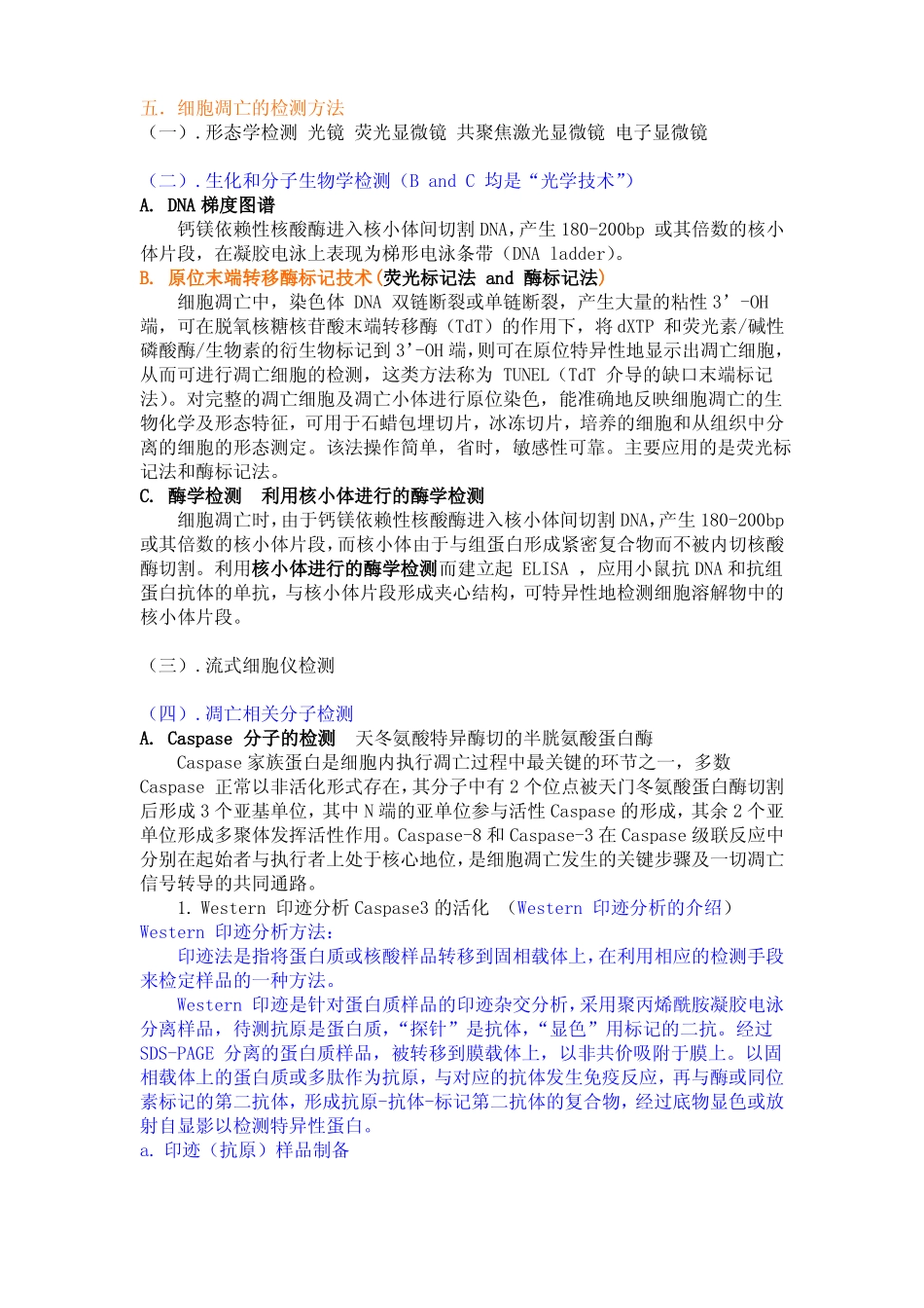 细胞凋亡在雷公藤甲素所致大鼠急性肾损伤中的作用及其发生机制_第2页