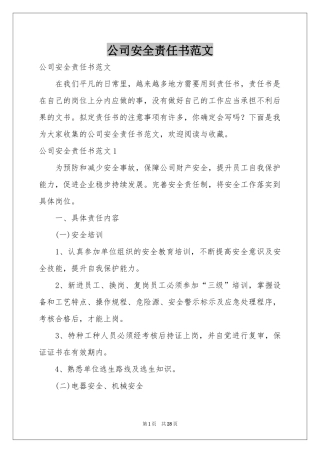 公司安全责任书范本