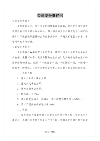 公司安全责任书
