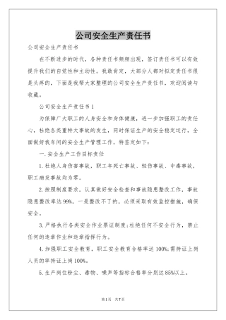 公司安全生产责任书