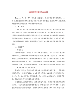 初级经济师年底工作总结范文
