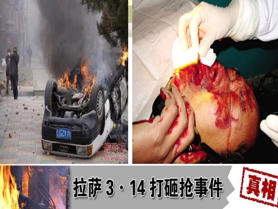 思想品德：第七课《法不可违》课件(人教版七年级下)_第3页