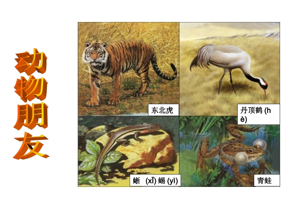 万以内数的加法_第2页