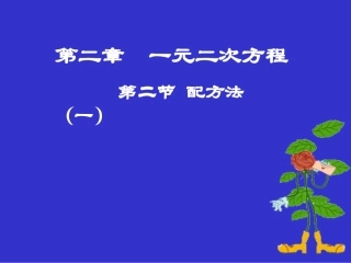 配方法（一）演示文稿