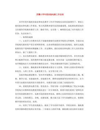 苏骥小学年度实验电教工作总结
