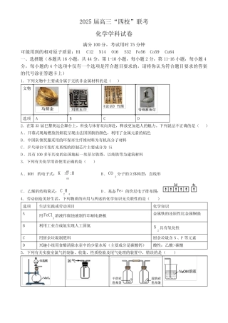 广东省汕尾市2025届高三上学期“四校”联考 化学试卷(含答案)