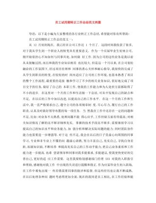 员工试用期转正工作总结范文两篇 