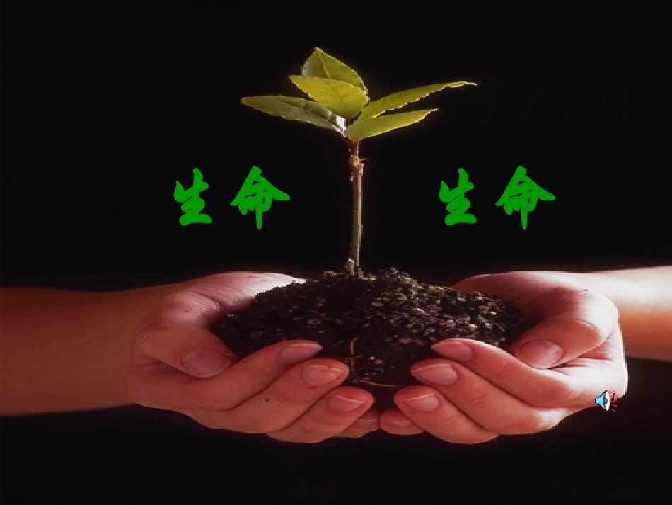 《生命生命》课件(1)_第1页