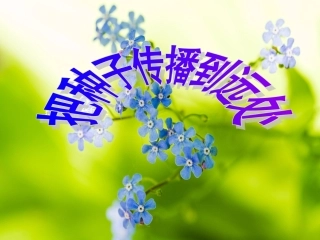把种子散播到远处-上课