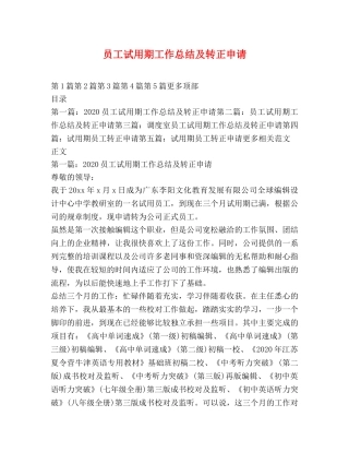 员工试用期工作总结及转正申请 