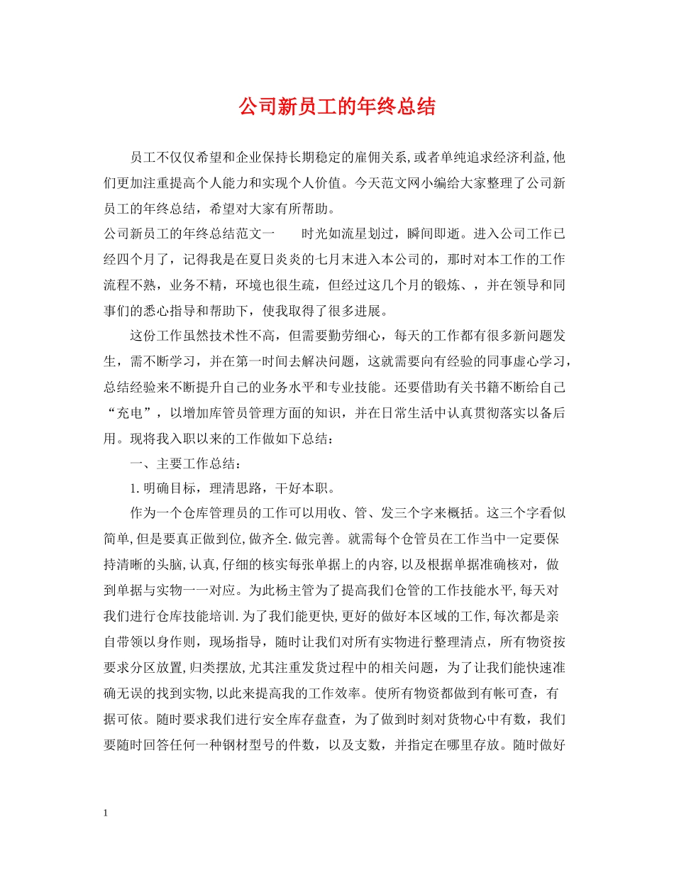 公司新员工的年终总结_第1页