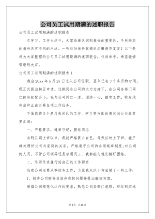 公司员工试用期满的述职报告