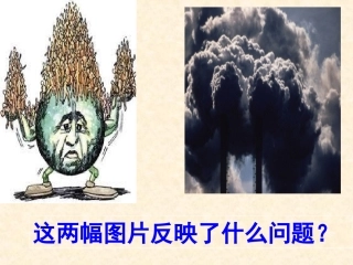 《计划生育与保护环境的基本国策》课件