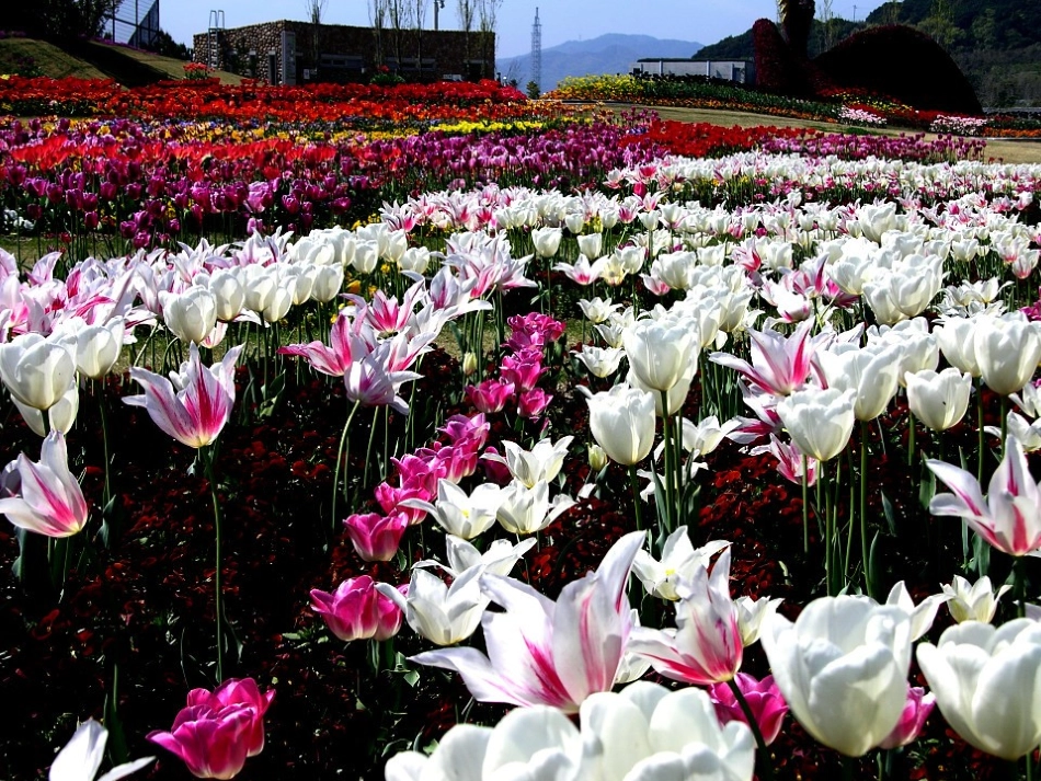 牧场之国课件_第3页