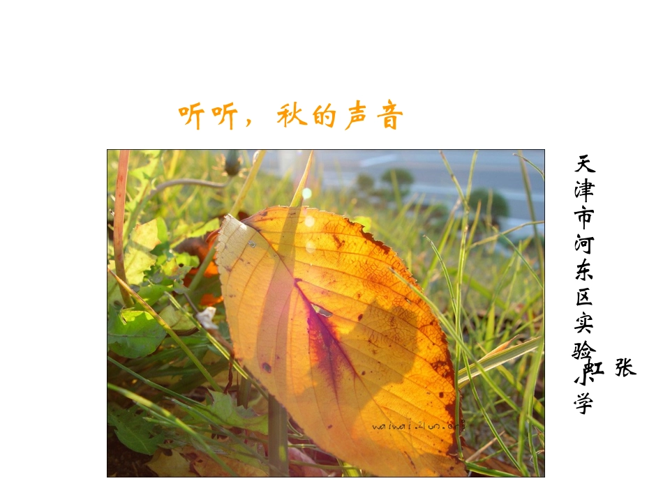 听听,秋的声音_第1页