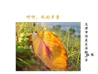 听听,秋的声音