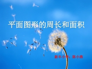 平面图形的周长和面积的复习课aaa