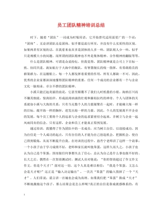 员工团队精神培训总结 